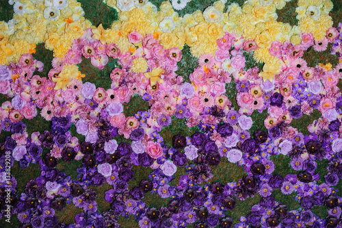 texture on a flowerbed of colorful flowers in the Park