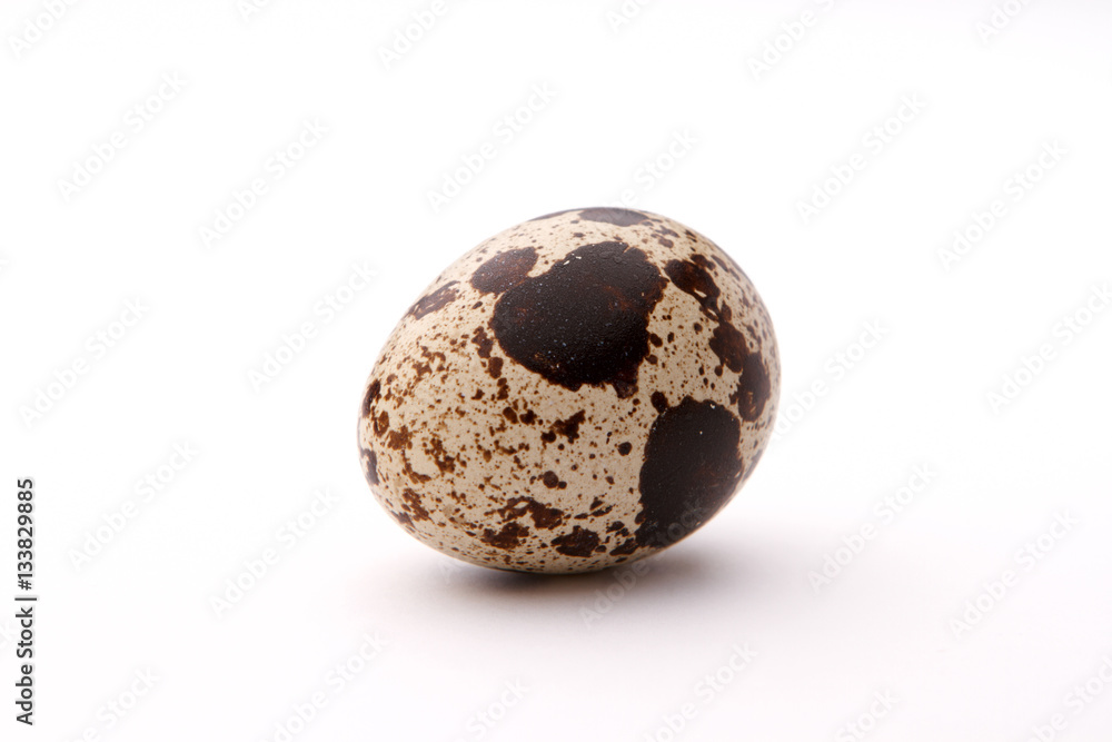 Obraz premium Quail egg