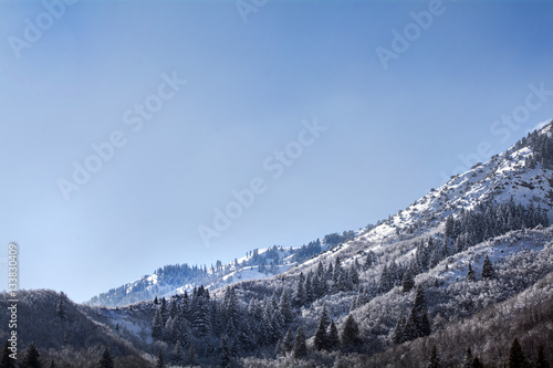 Wallpaper Mural utah wasatch mountains in ogden just north of salt lake which is a popular vacation location for skiing snowboarding and winter sports Torontodigital.ca