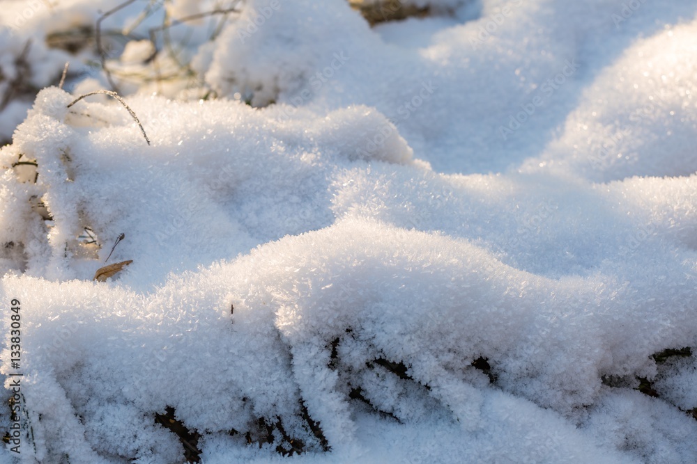 Winter snow background with snow covered plants Winter snow background with snow covered plants