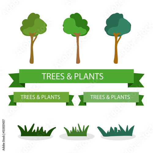 tree and plants