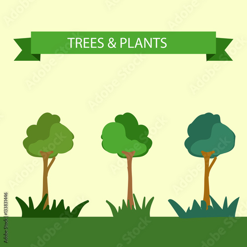 tree and plants