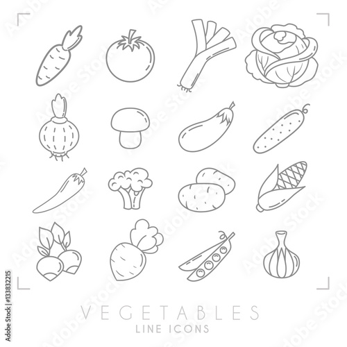 Set of line vegetable icons. Flat style. Carrot, tomato, leek, cabbage, onion, mushroom, eggplant, cucumber, pepper, broccoli, potato, corn, radish, beet root, peas, garlic.