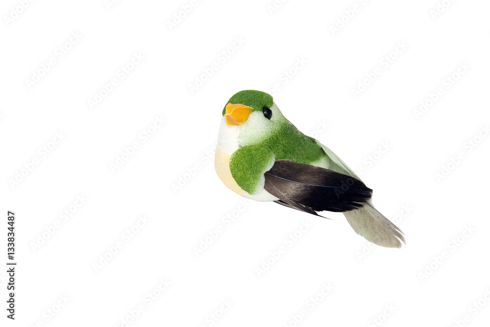 Decorative bird on white background