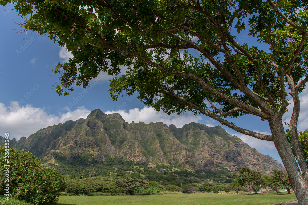 Hawaii, Oahu, Honolulu, Jurassic Park, Kualoa Ranch, Berge, Küste, Ostküste, Panorama