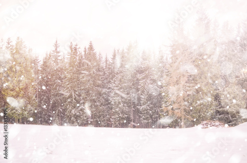 Winter snow magic forest background.  © depiano