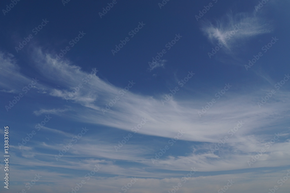 Obraz premium 空