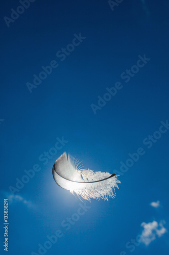 Feather floating in the sky. Faith, dreams and relax concept.