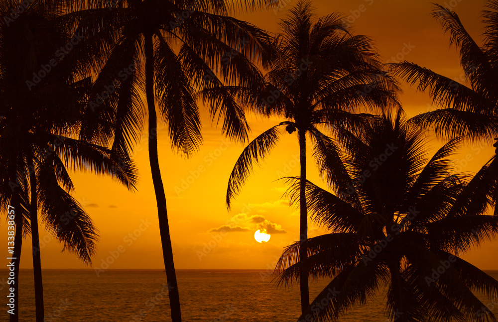 Beautiful tropical beach sunset. 