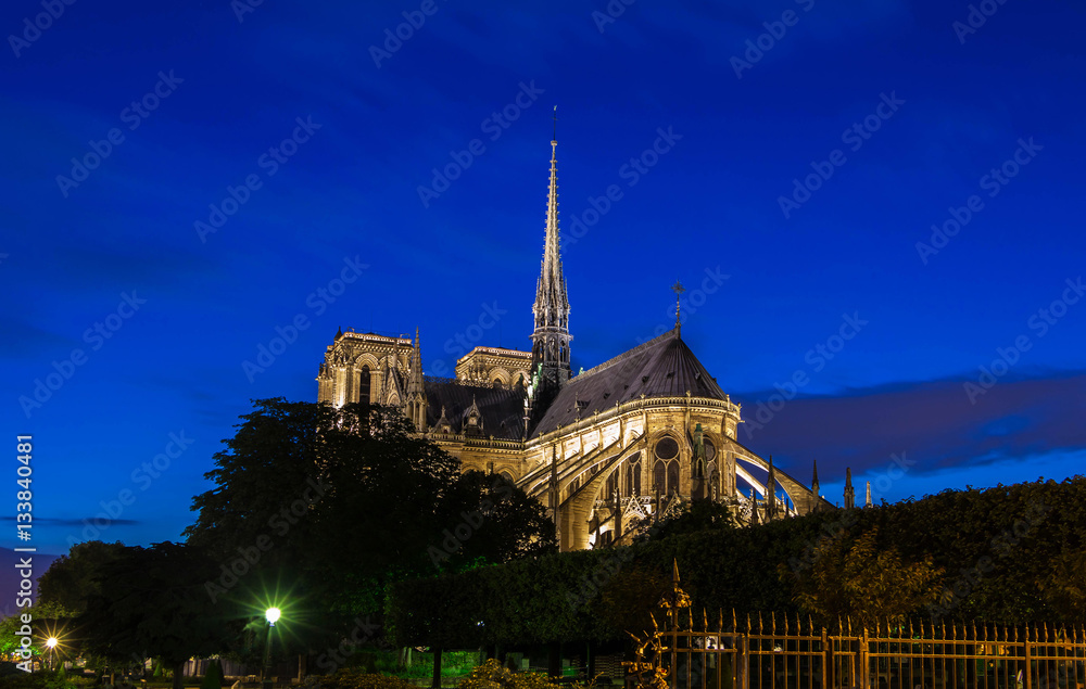 The Notre Dame cathedral at night, Paris, France.