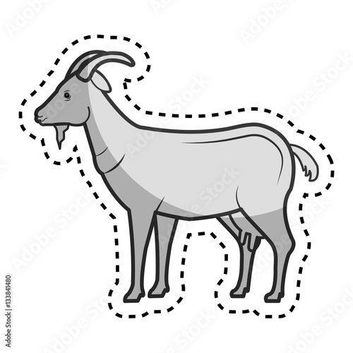 goat animal farm in the field vector illustration design