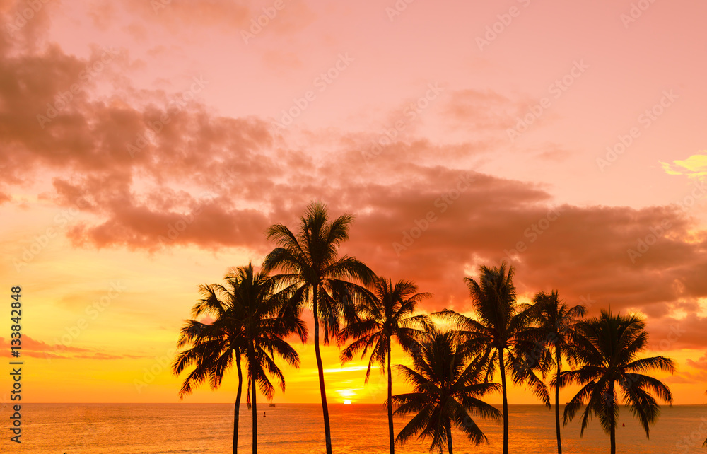 Tropical island sunset. 