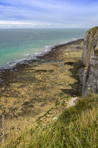 Famous cliffs of Etretat - Normandy  France 