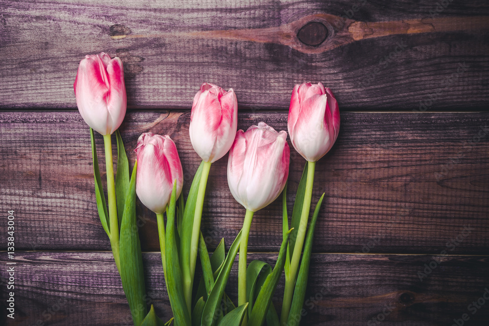 White and pink tulips on wooden table valentine background.