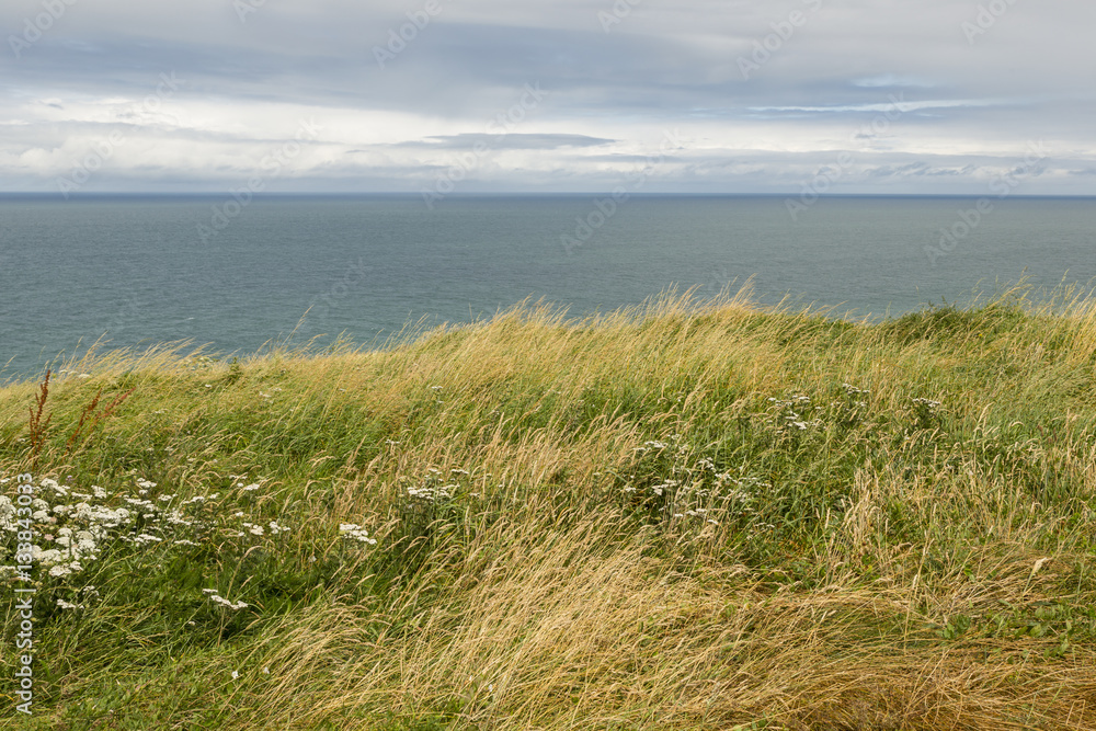 Famous cliffs of Etretat - Normandy (France) Famous cliffs of Etretat - Normandy (France)