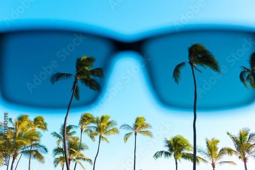 View of palm trees through a pair of sunglasses.  photo