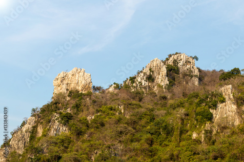 Mountain rock cliff with timber.