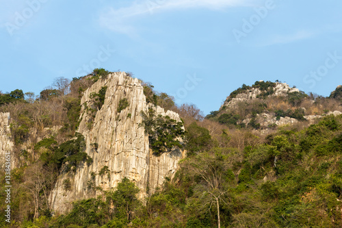 Mountain rock cliff with timber.