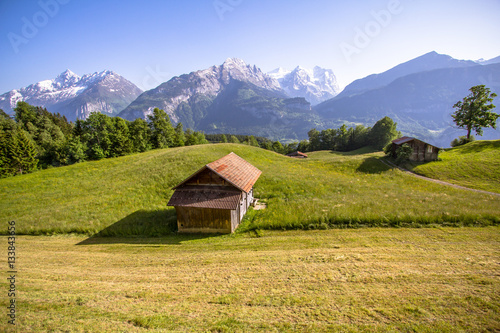 Idyllic landscape in the Alps © robertdering