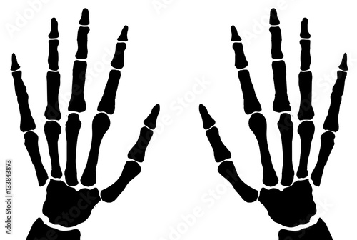 Bone Hands Isolated