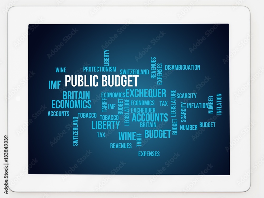public budget