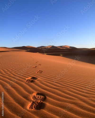 Footprints leading into the abyss of the Sahara Desert