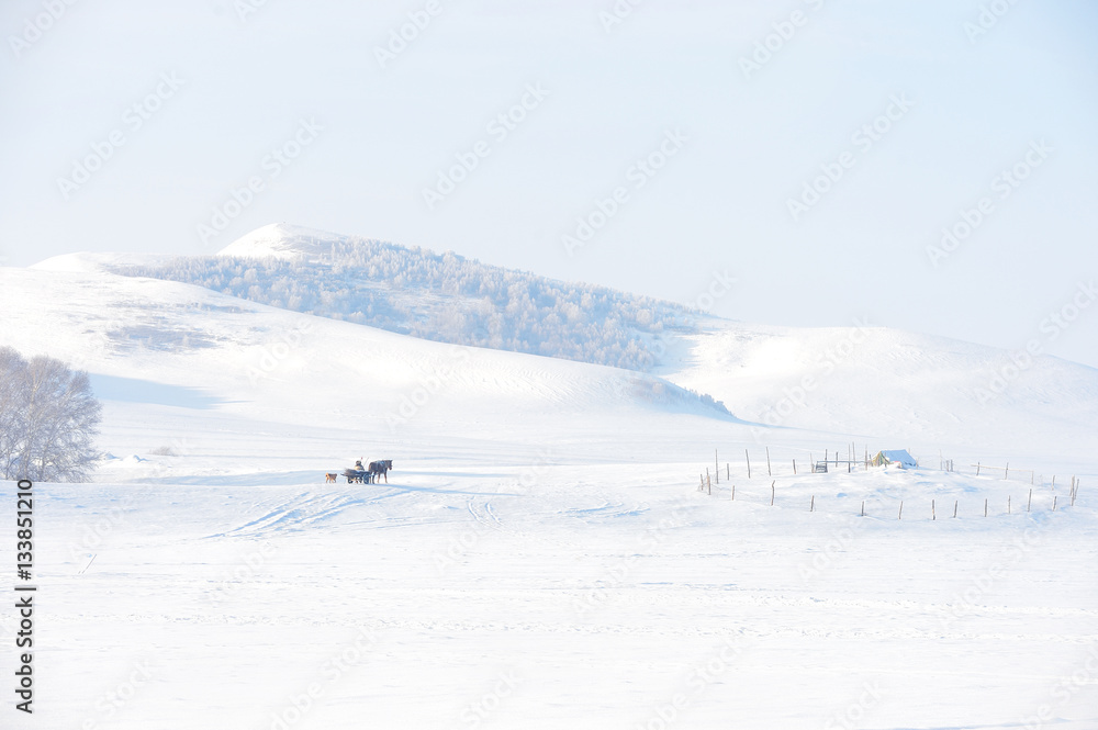snow background, the horse is pulling a cart in a stock station, heavy snow
