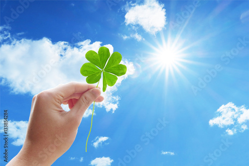 sunlight and four Leaf Clover