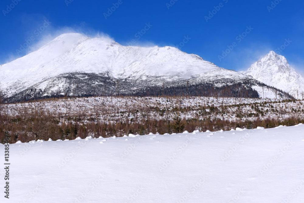 Obraz premium View of the High Tatras mountains with the peaks covered with snow from Horny Smokovec. Slovakia.