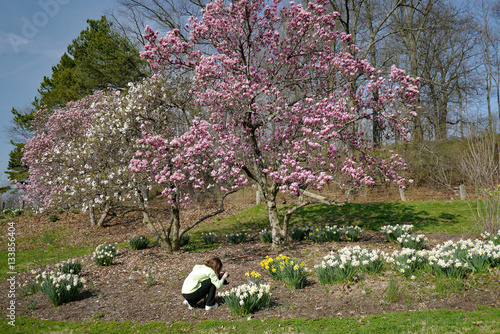 young photographer taking pictures of spring blooms in Eden Park, Cincinnati