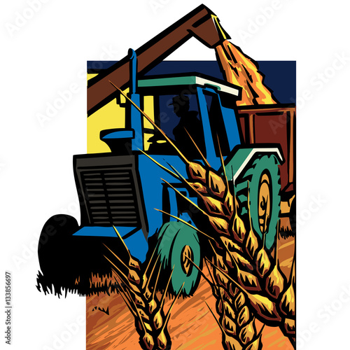 Vintage tractor, harvesting wheat grain.
