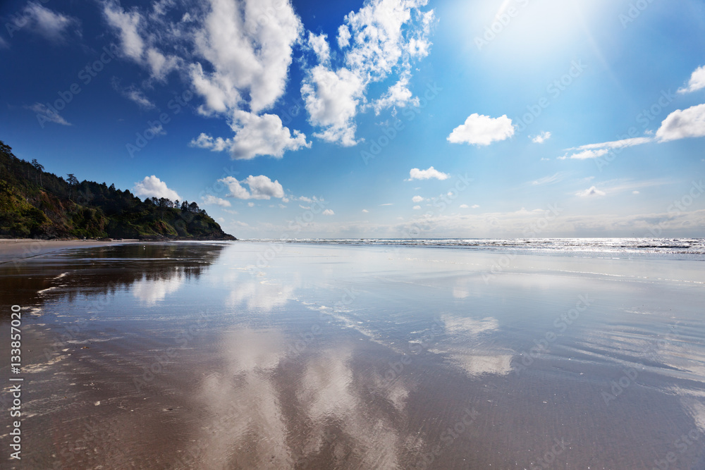 Obraz premium Long Beach, Washgington at North Head, Cape Disappointment on a sunny Spring afternoon