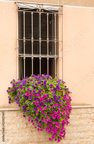 Window box