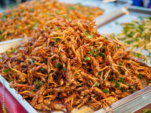 Exotic Asian food. fried insects in warm light condition