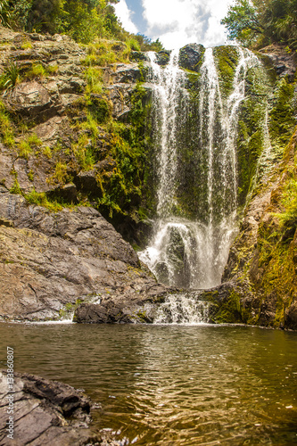 beautiful water fall in forest  new zealand  waipu  piroa falls