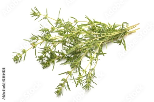 Bunch of thyme