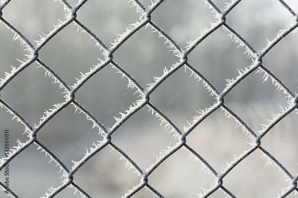 Soft Rime on Metal Fence Soft Rime on Metal Fence