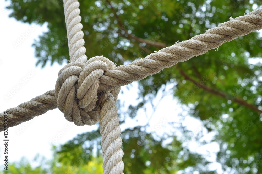 Rope knot line tied together with nature background,as a symbol for trust, teamwork or collaboration Rope knot line tied together with nature background,as a symbol for trust, teamwork or collaboration