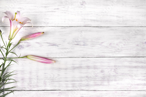 Fototapeta Naklejka Na Ścianę i Meble -  white lily flower on old wooden table