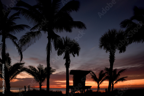 Palmengesäumter Strand in Florida zum Sonnenaufgang-Romantisches Symbolfoto