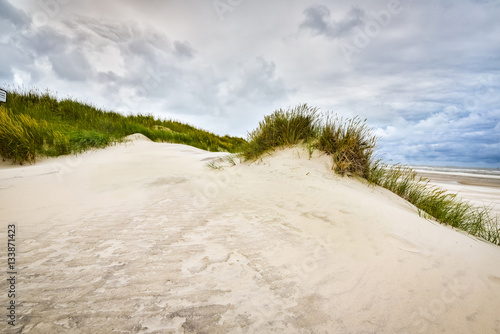 Sanddünen mit Strandhafer an der Nordsee