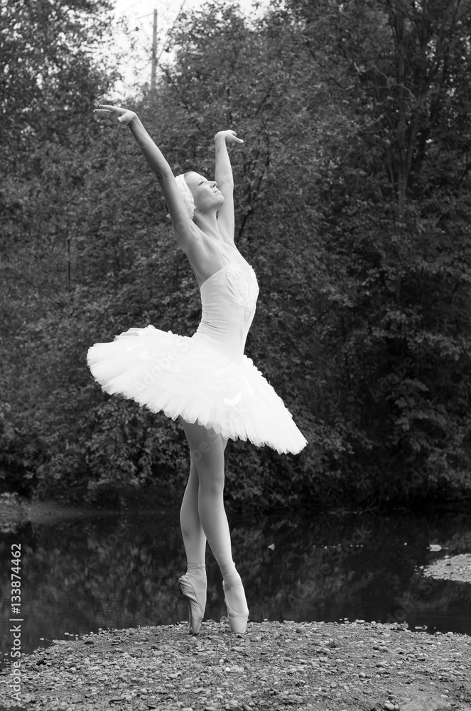Ballerina on Swan lake