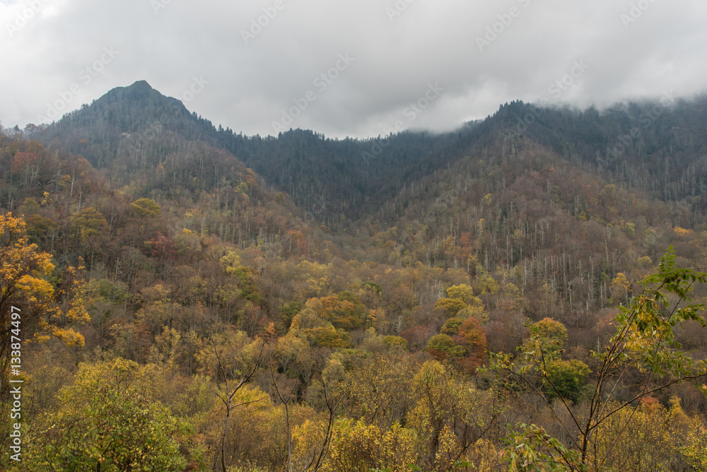 Fall at the Great Smoky Mountains National Park