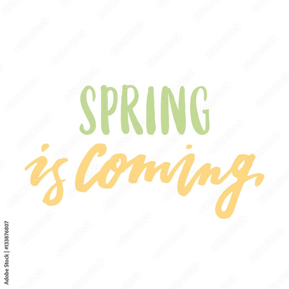 Fototapeta premium Spring is coming! The inscription handdrawing of ink on a white background. Vector Image. It can be used for website design, article, phone case, poster, t-shirt, mug etc.