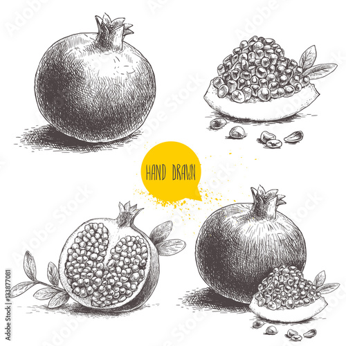 Hand drawn pomegranates set. Pomegranates with seeds and leafs. Sketch style vector illustration. Organic food vector.