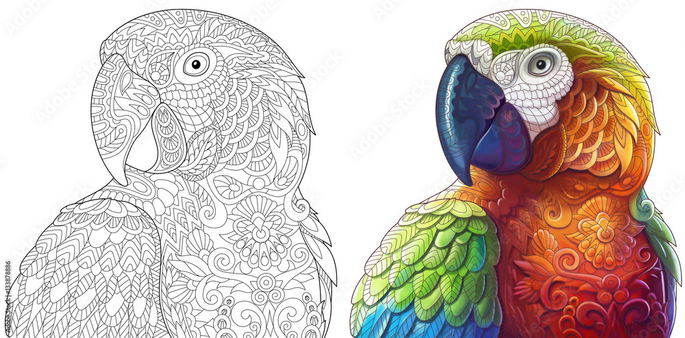 Naklejka premium Kolekcja dwóch stylizowanych papug ara (ara). Wersje monochromatyczne i kolorowe. Odręczny szkic dla dorosłych książki antystresowej z elementami doodle i zentangle.