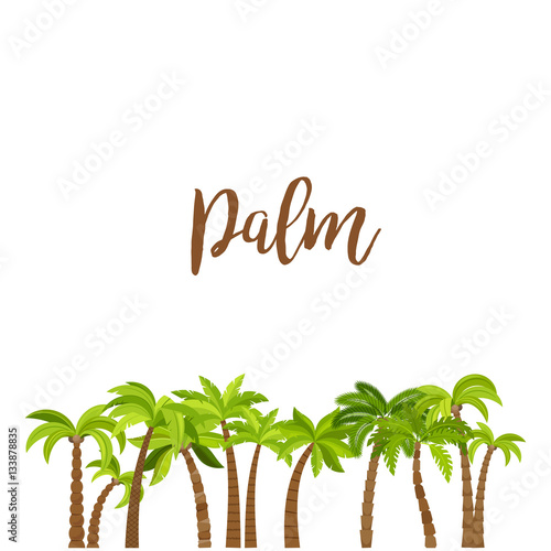 Cartoon colored palm trees forest, isolated on white background. Vector illustration
