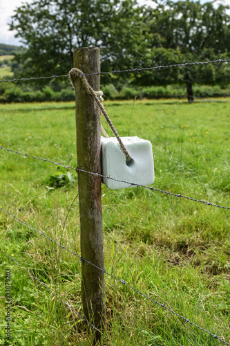 Salt lick stone tied on a fence for providing livestock with sodium cloride and extra minerals