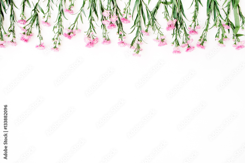 Pink wildflowers on white background. Flat lay, top view. Blog hero or header Pink wildflowers on white background. Flat lay, top view. Blog hero or header