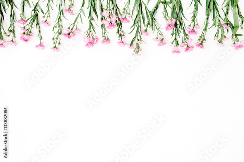 Pink wildflowers on white background. Flat lay, top view. Blog hero or header